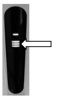 Anko-CL-2001-22-2V-A-Cordless -Cleaner-figure-9