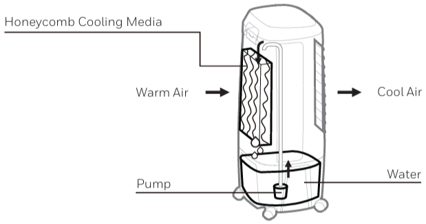 Honeywell-CL610PM-Portable-Air-Cooler-product