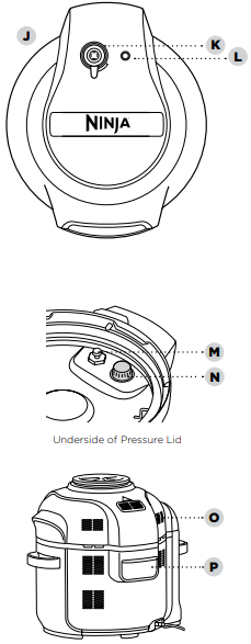 Ninja FD401 LP3 Foodi Deluxe Pressure Cooker