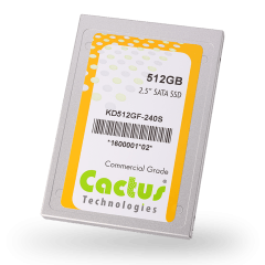 CACTUS-MLC-240S-Industrial-Series-M.2-SSD-product