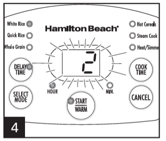 Hamilton-Beach-Rice-Cooker &-Food-Steamer-figure-41