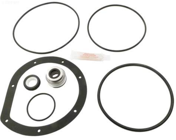 Hayward S--1700-Series-Seal-Change-product