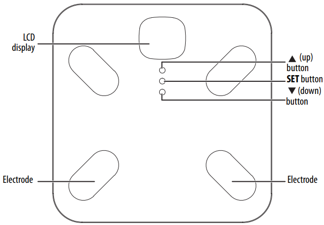 Insignia-NS-GLSBFSCW1-Glass-Scale-figure-1