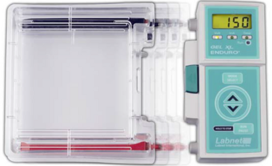 Labnet-Enduro-Gel-XL-Electrophoresis-Syste-PRODUCT