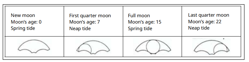 Miyota-Cal.-6P80-Multi-han-Quartz-Watch-fg-3