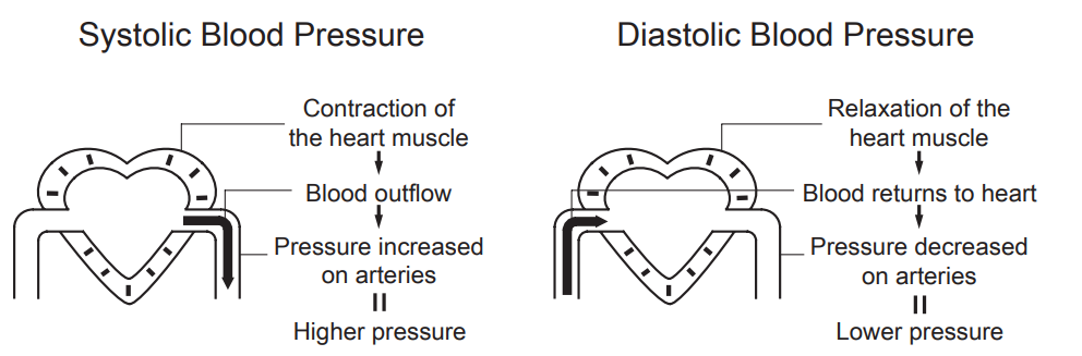 Ozeri-BP2M-Blood-Pressure-Monitor-figure-10