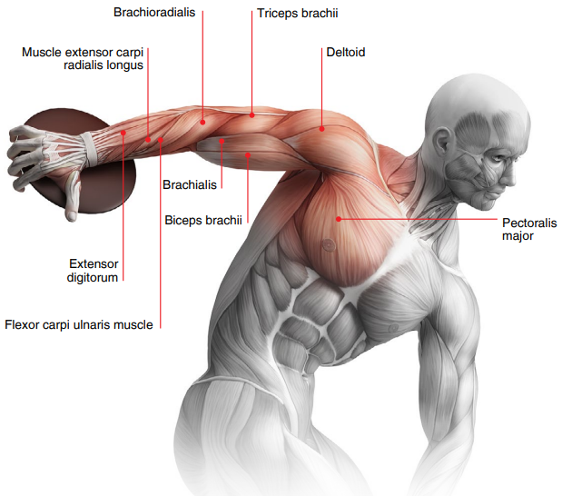 Charging the Ronix 8851 POWER-PRO massage gun with Type-C cable