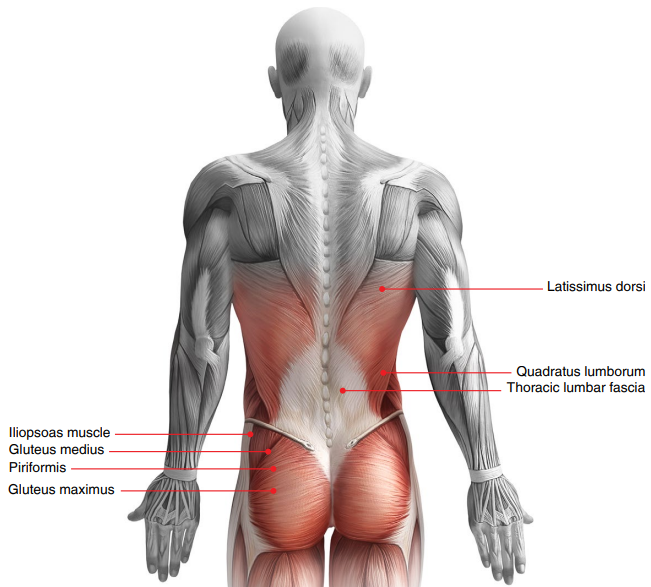 Portable carrying bag with massage gun and accessories