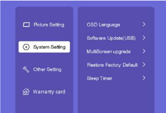 Lisowod-An1-Quality-Video-Projector-Fig-32