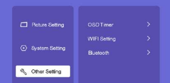 Lisowod-An1-Quality-Video-Projector-Fig-36