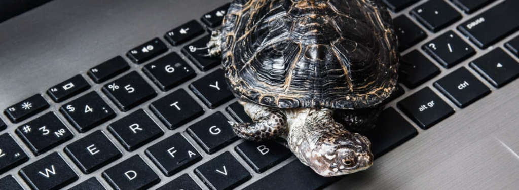 How-To-Fix-Slow-Laptop-figure-11