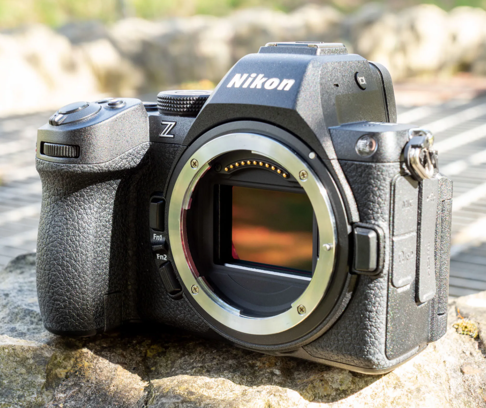 What-Is-A-Mirrorless-Cameras-figure-23