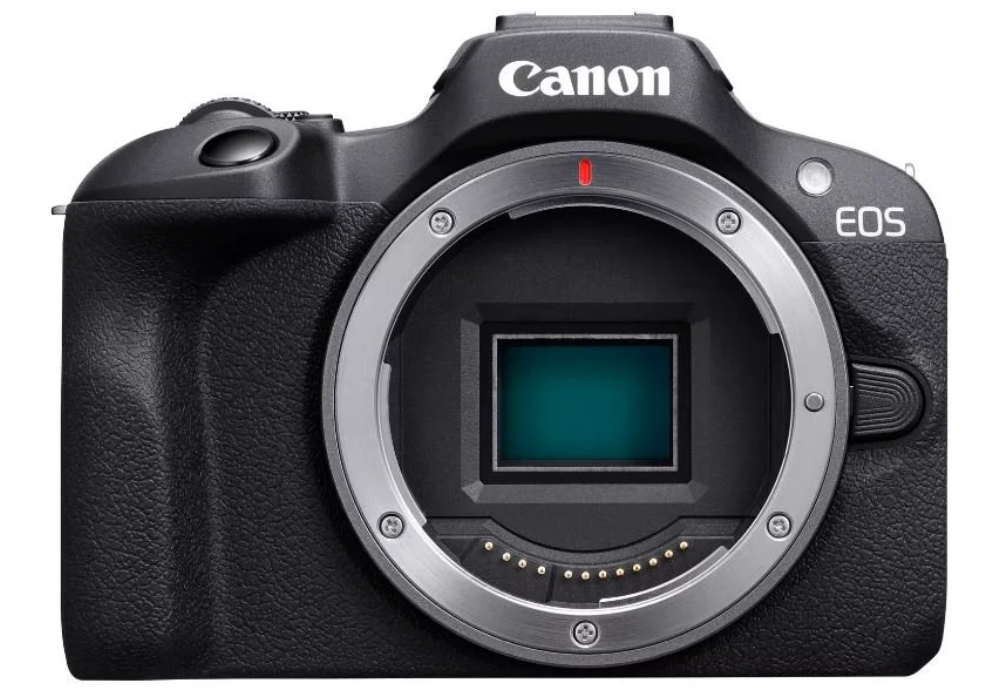 What-Is-A-Mirrorless-Cameras-figure-8