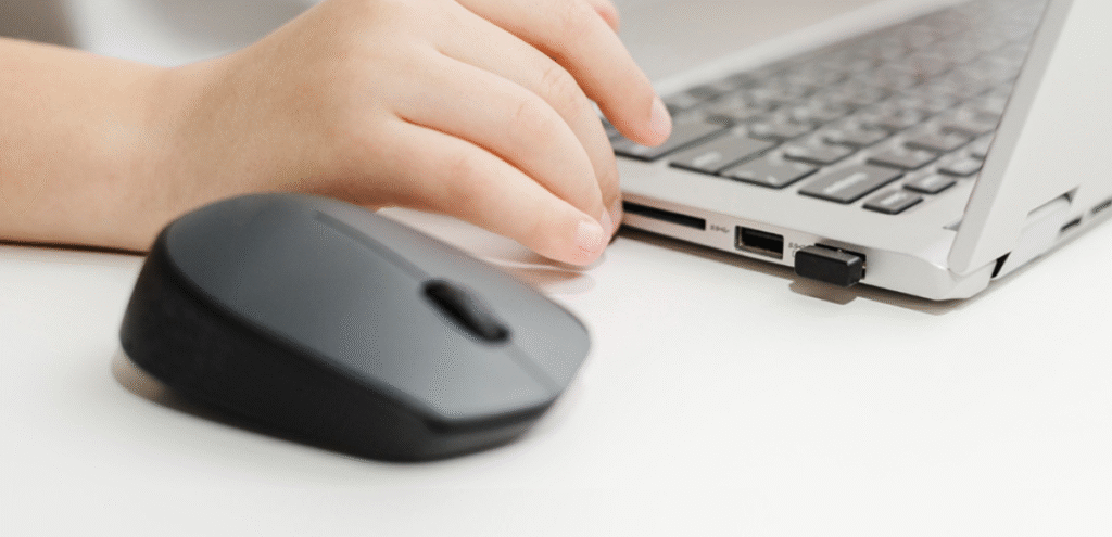 Why-Is-My-Mouse-Not-Working-On-My-Laptop-Figure-3